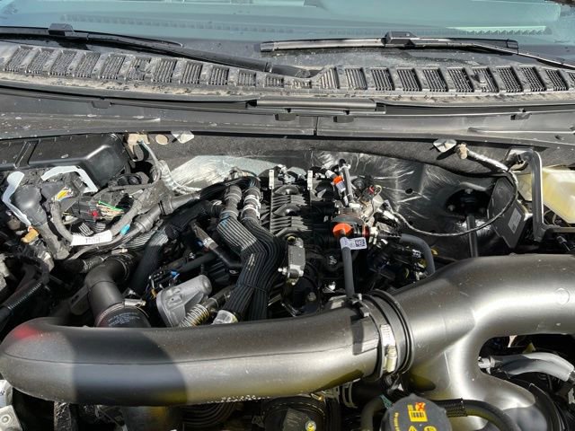 New 2026 Ford Expedition Tremor image 23