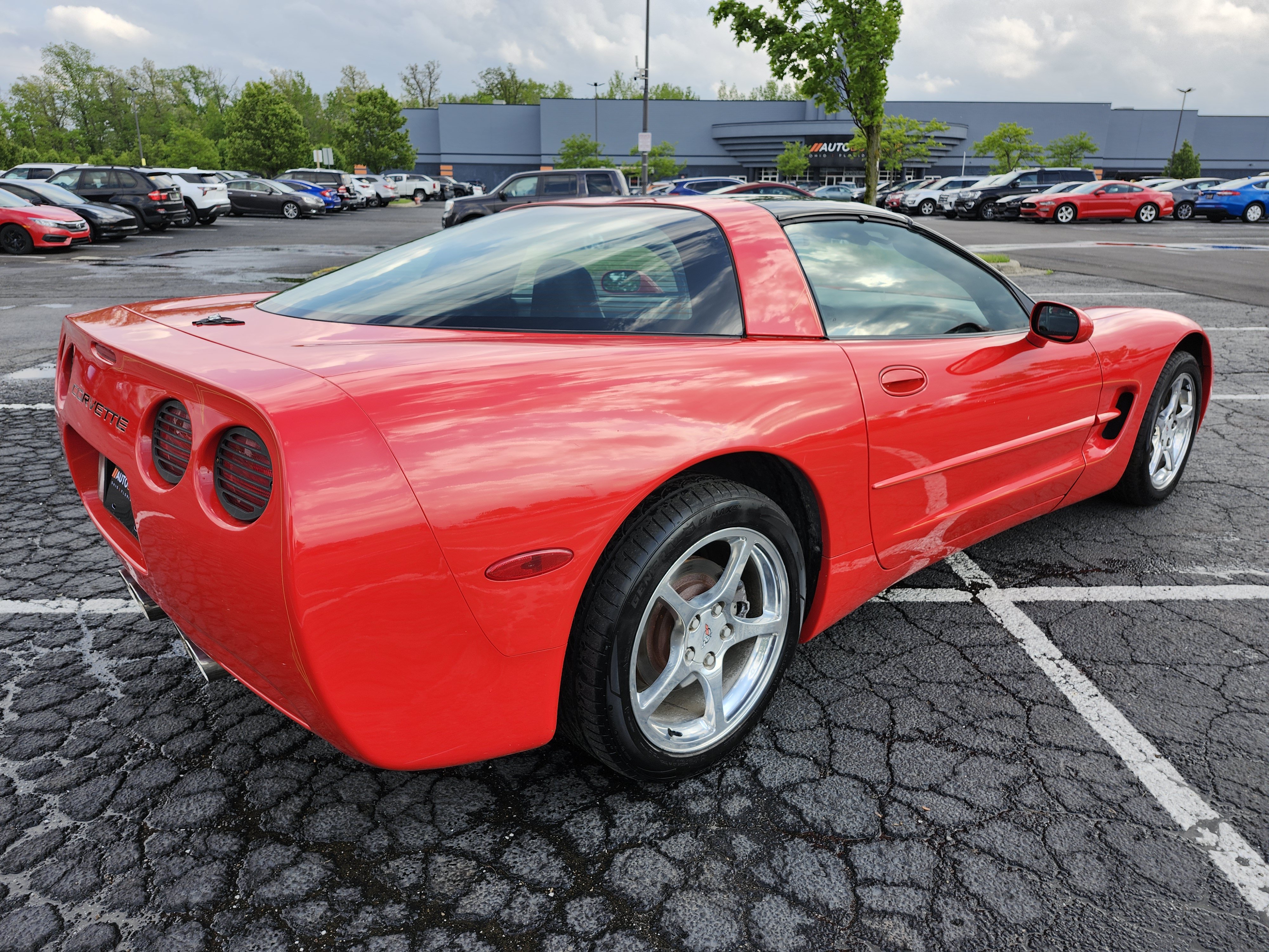 Used 2000 Chevrolet Corvette Coupe w/ Performance Handling Pkg RWD image 16
