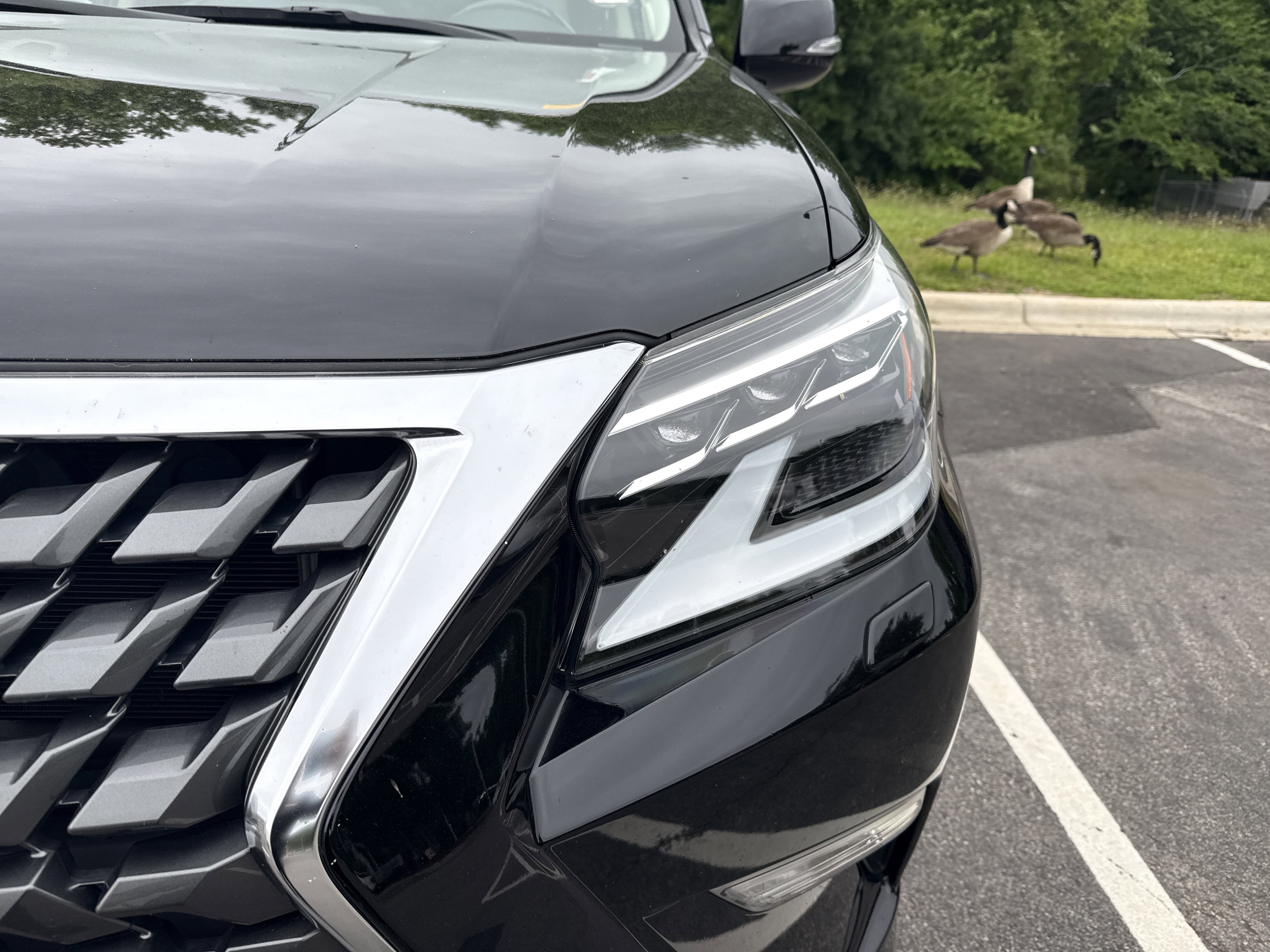 Used 2020 Lexus GX 460 Premium AWD/4WD image 11
