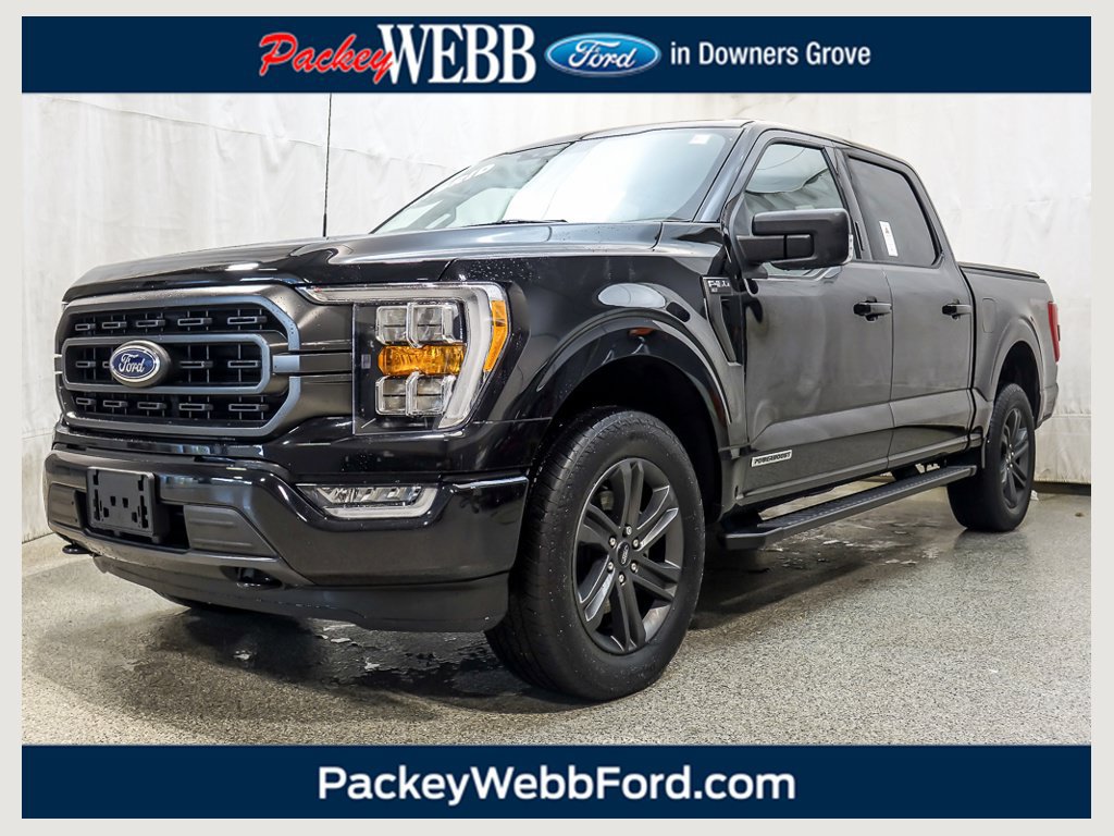 Used 2023 Ford F150 XLT w/ Equipment Group 302A High