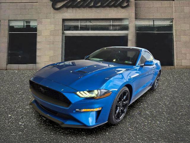 Used 2019 Ford Mustang Premium w/ Equipment Group 201A RWD image 1