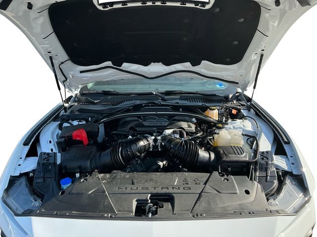 Used 2025 Ford Mustang GT Premium image 20