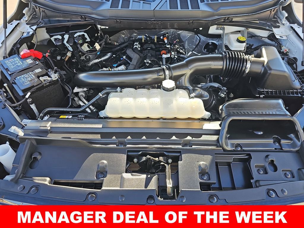 Used 2025 Ford F150 XLT w/ Equipment Group 301A Standard image 33