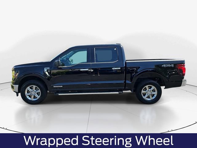 Used 2025 Ford F150 XLT w/ Equipment Group 301A Standard AWD/4WD image 8