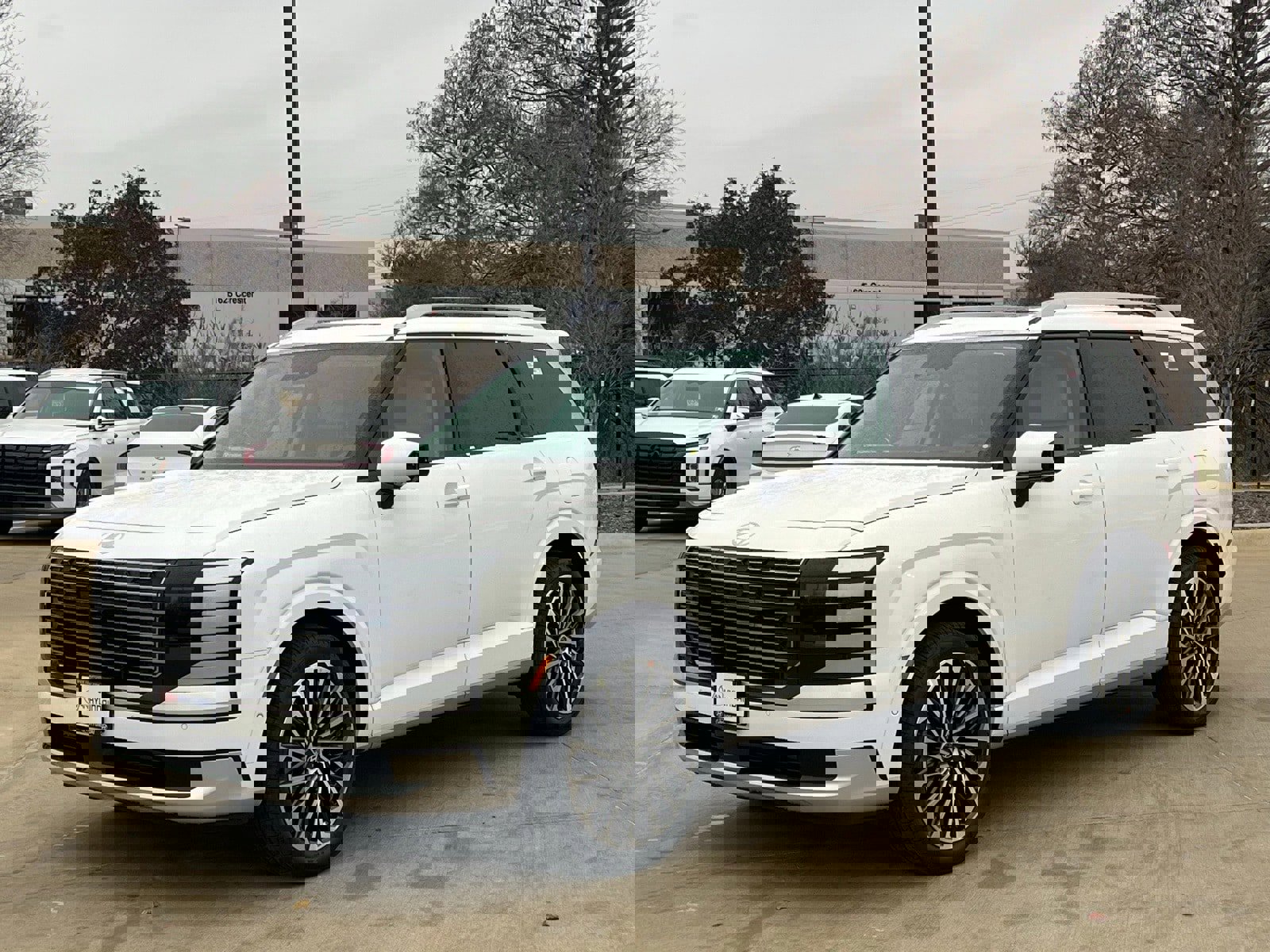 New 2026 Hyundai Palisade Calligraphy image 5