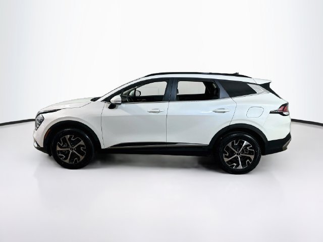 Used 2024 Kia Sportage EX w/ EX Premium Package AWD/4WD image 5