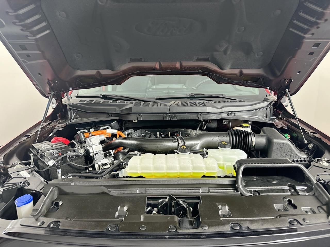 Used 2024 Ford F150 XLT w/ Equipment Group 302A MID image 21