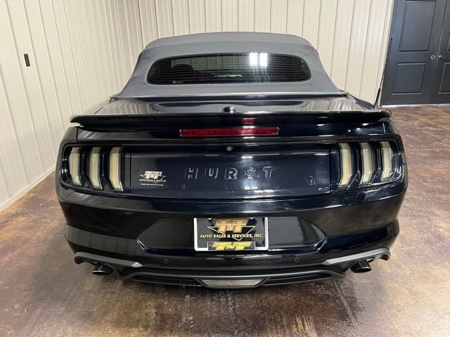 Used 2019 Ford Mustang Premium w/ Equipment Group 201A image 10