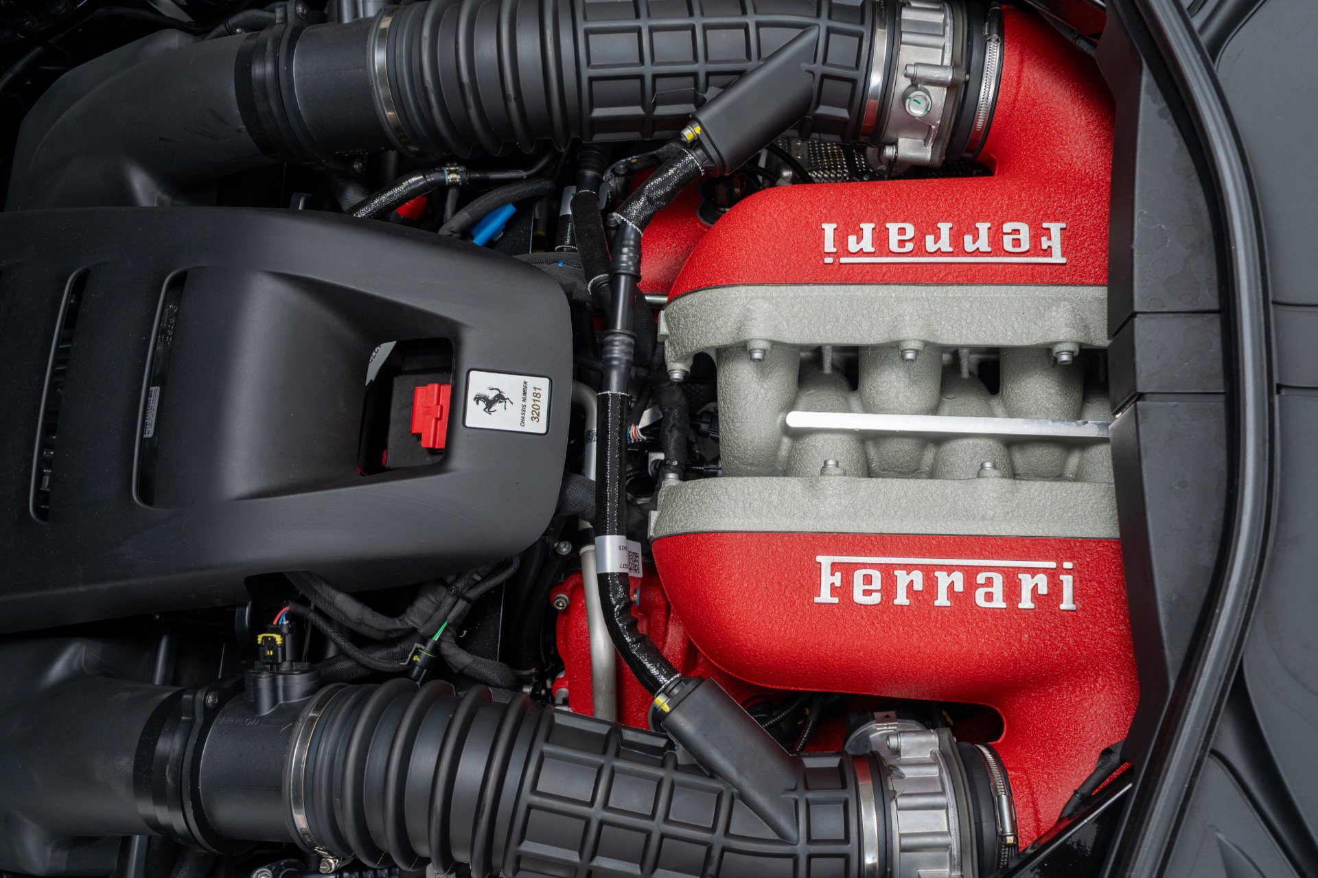 Used 2025 Ferrari Purosangue image 12