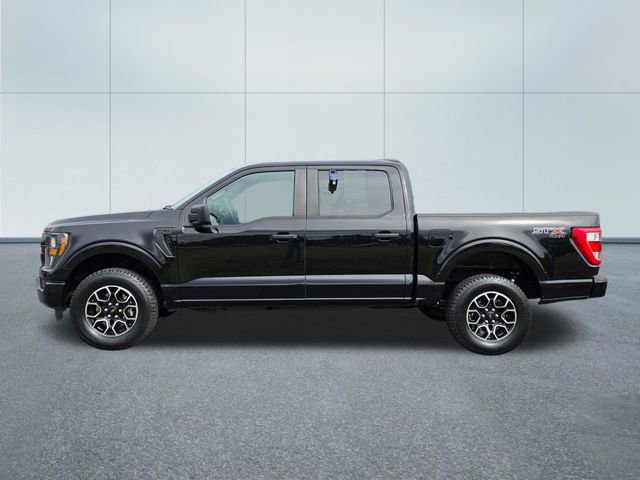 Used 2023 Ford F150 XL w/ STX Appearance Package image 2