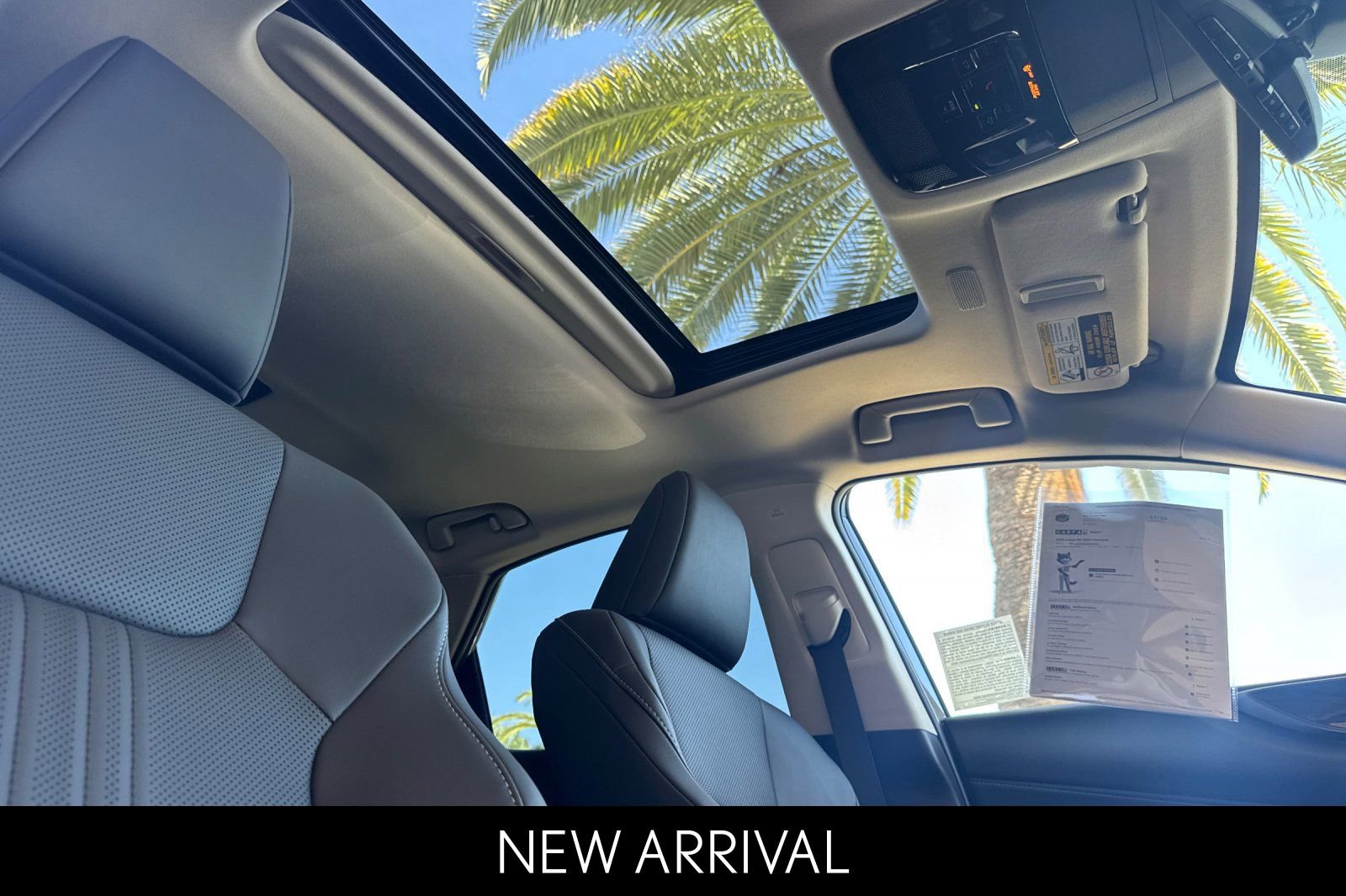 Certified 2025 Lexus NX 350h AWD w/ Cold Area Package image 20