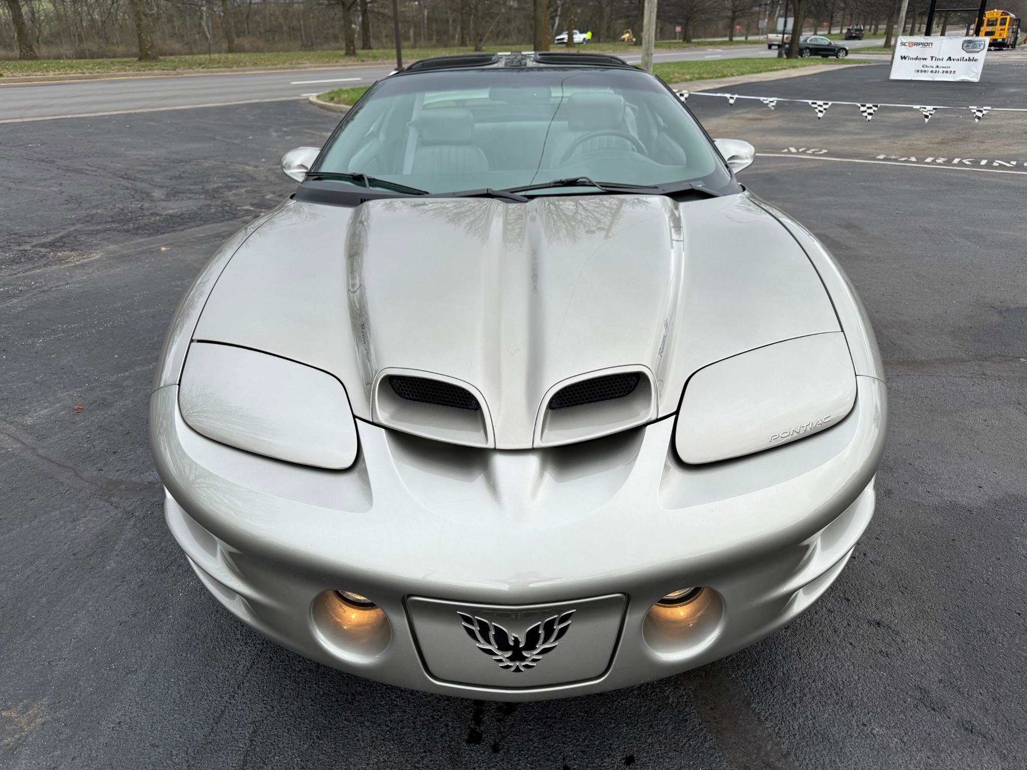 Used 1999 Pontiac Firebird Formula image 14