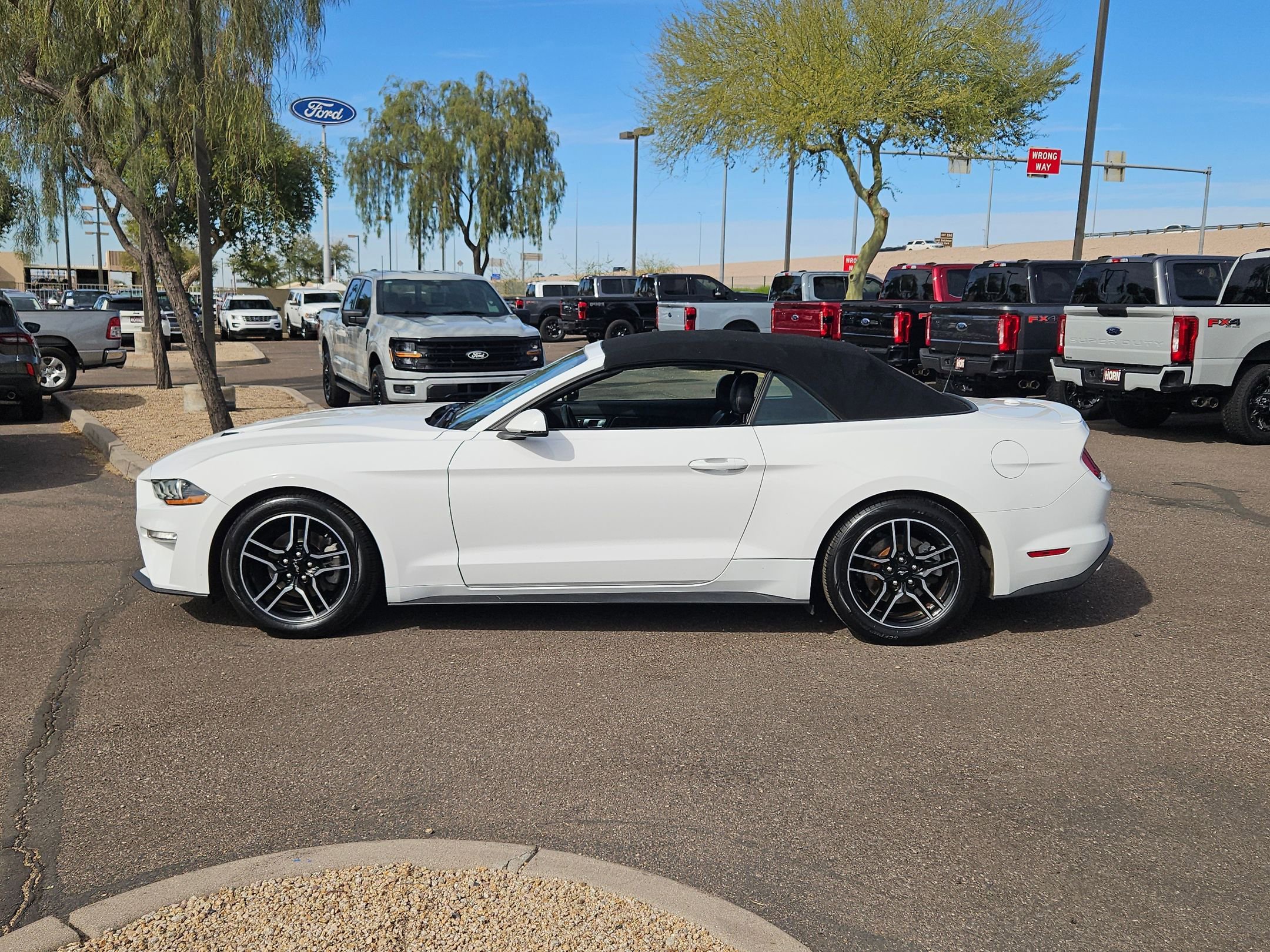 Used 2020 Ford Mustang Premium image 9