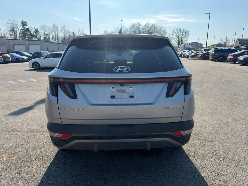 Certified 2023 Hyundai Tucson Limited image 4