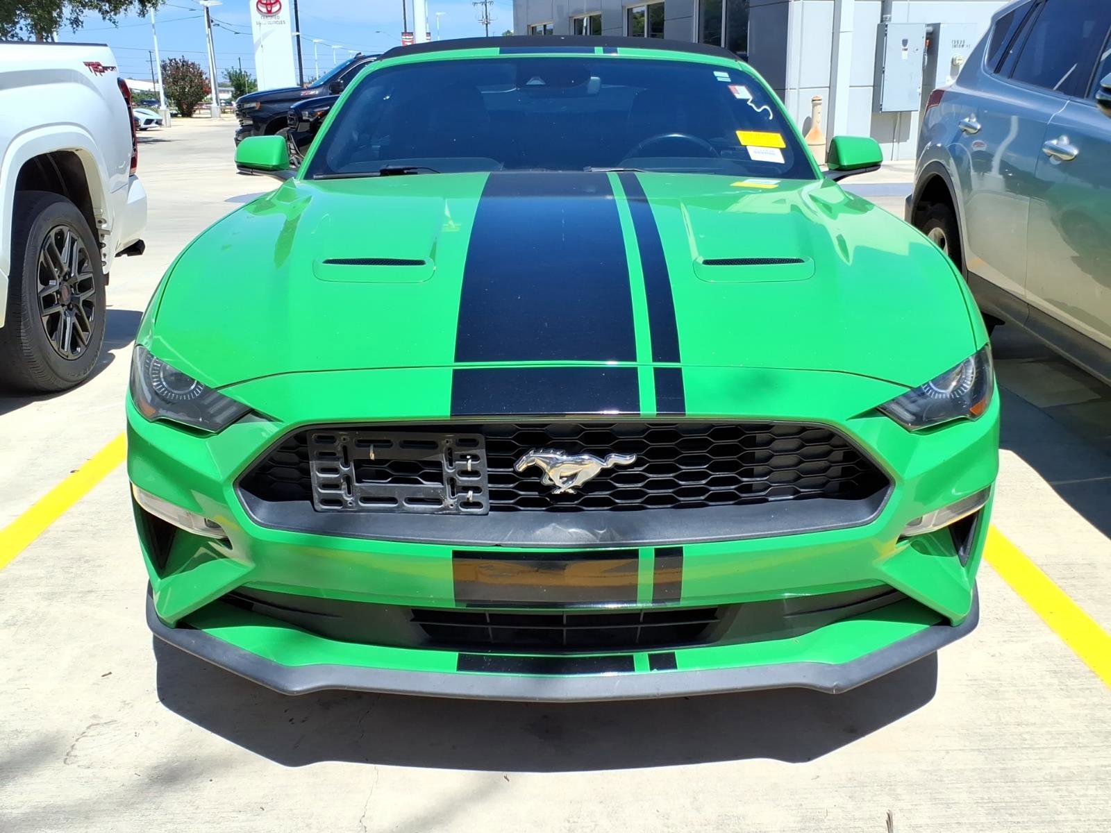 Used 2019 Ford Mustang Premium w/ Equipment Group 201A RWD image 2