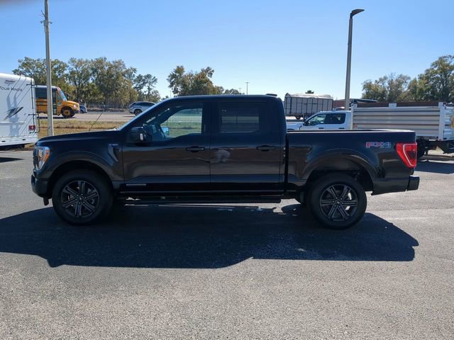 Used 2023 Ford F150 XLT w/ Equipment Group 302A High image 8
