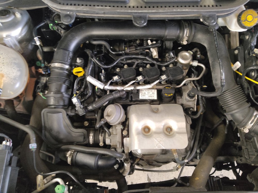 Used 2019 Ford EcoSport SE image 30