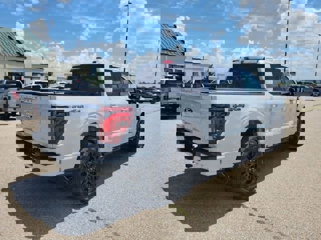 New 2025 Ford F150 Platinum image 29