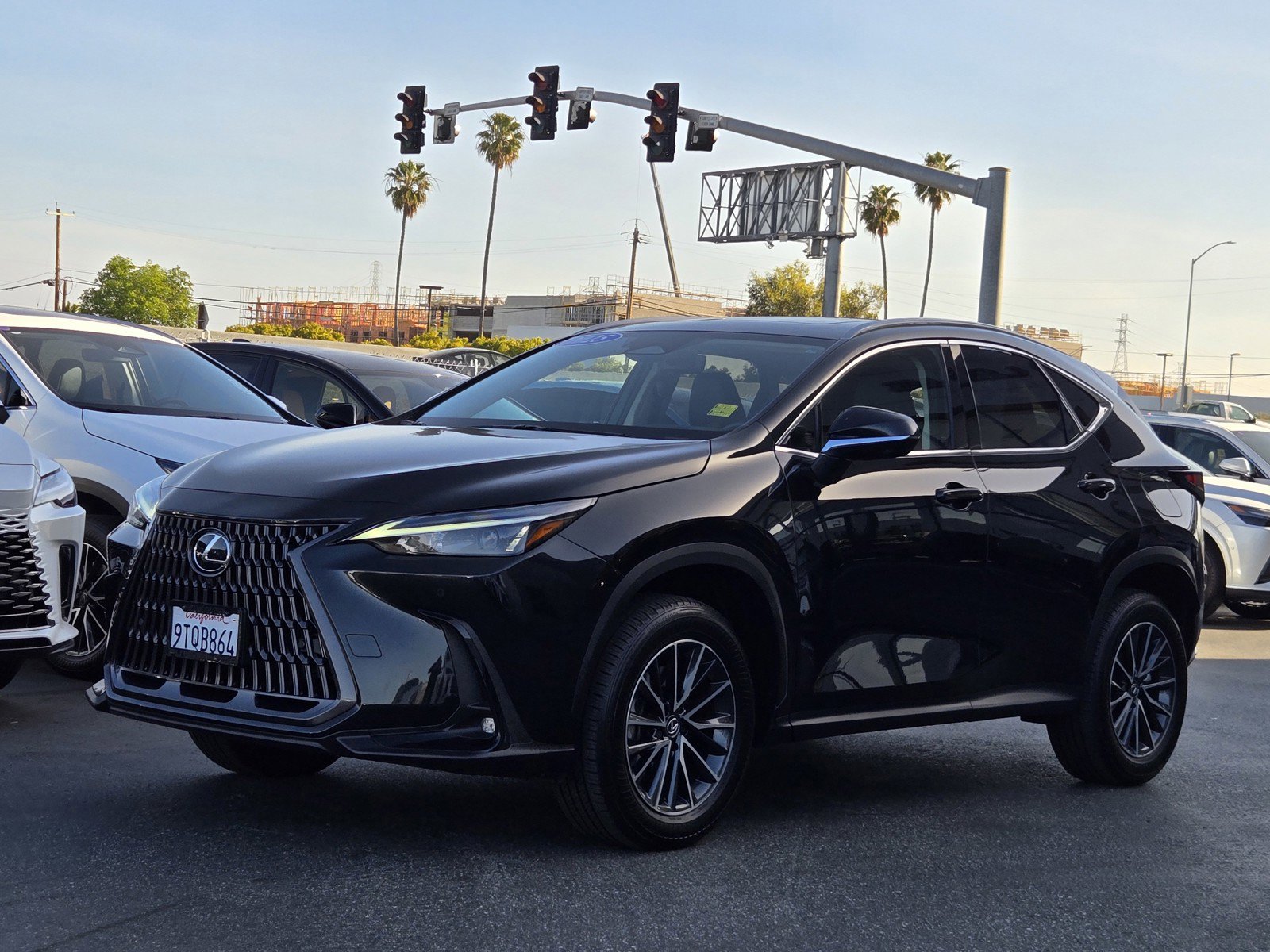 Used 2025 Lexus NX 350h AWD w/ Cold Area Package image 8