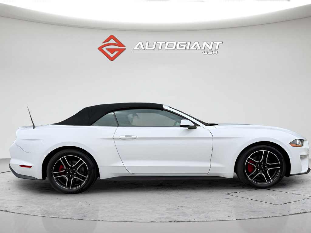Used 2019 Ford Mustang Premium RWD image 12