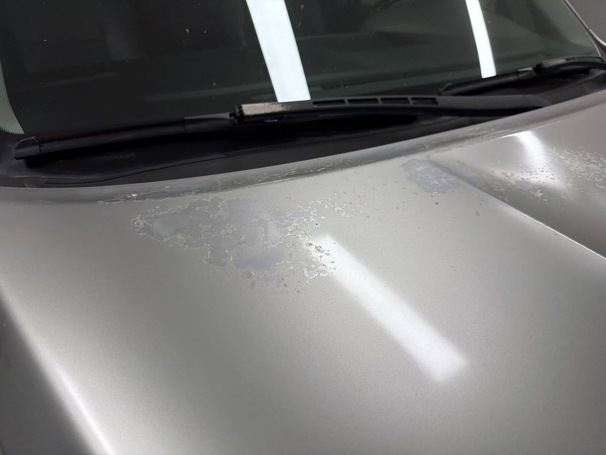 Used 2010 Toyota Sequoia Platinum RWD image 41