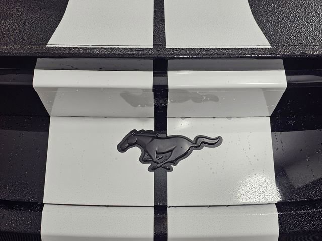 New 2025 Ford Mustang Premium image 14