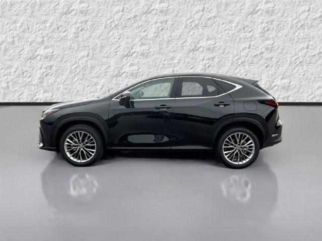 New 2026 Lexus NX 350 AWD w/ Accessory Package (2T) image 6