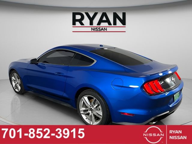 Used 2019 Ford Mustang Premium w/ Equipment Group 201A image 8