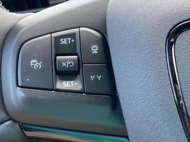 New 2025 Ford Mustang Mach-E Premium w/ Interior Protection Package AWD/4WD image 24