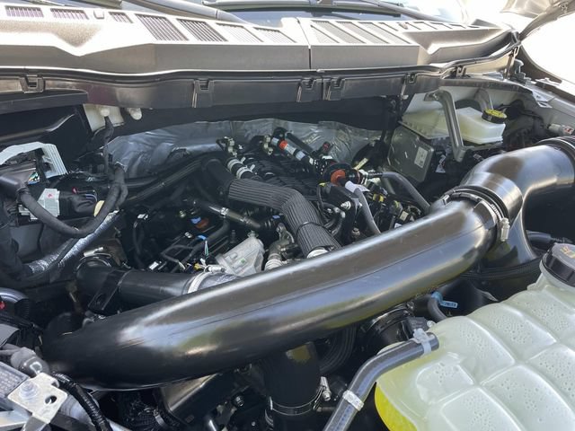 Used 2026 Ford F150 XLT w/ Bed Utility Package RWD image 37