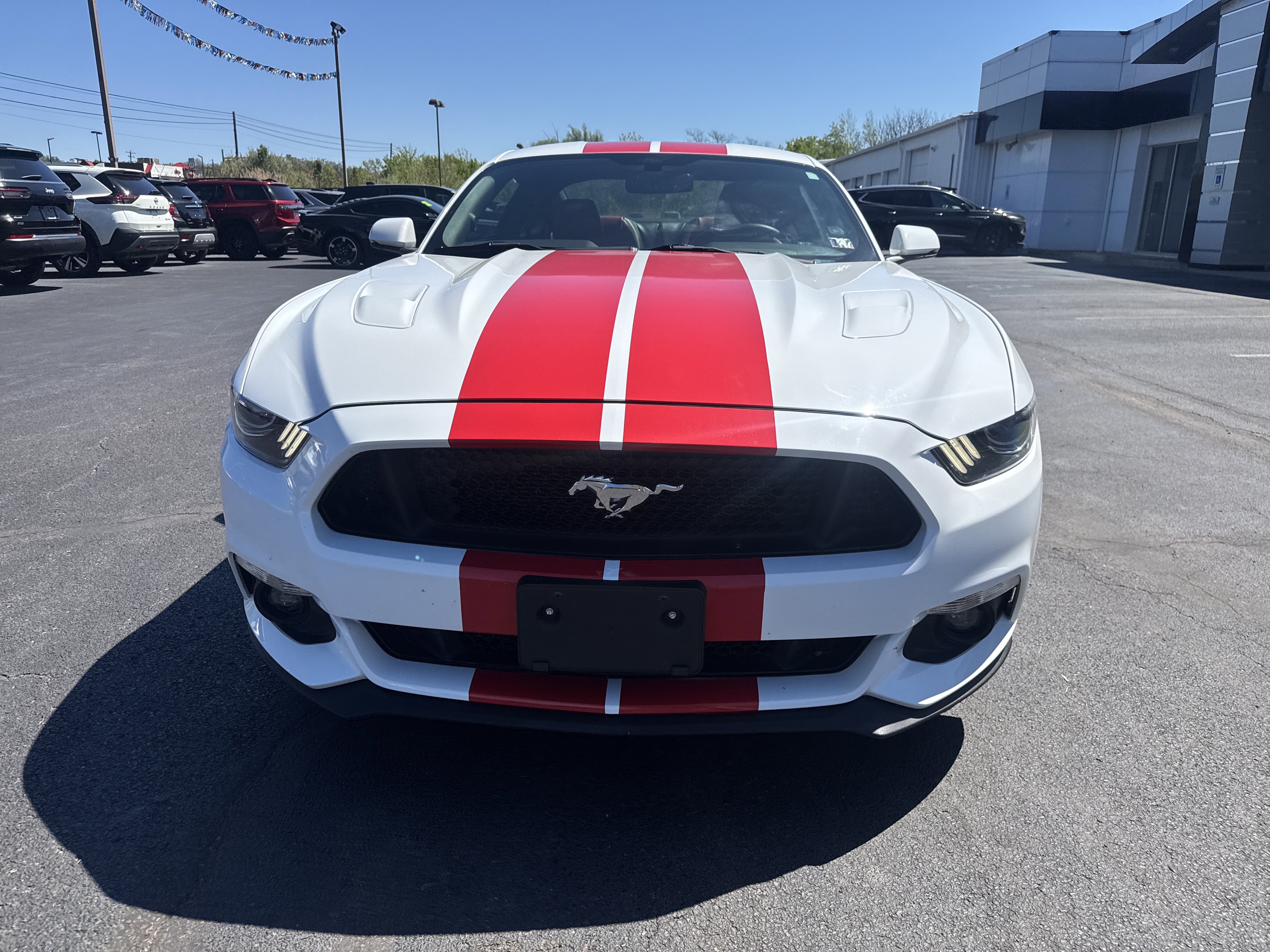 Used 2017 Ford Mustang GT Premium w/ Equipment Group 401A RWD image 9
