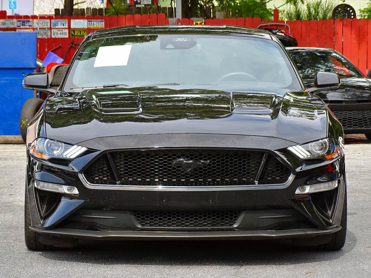 Used 2021 Ford Mustang GT Premium w/ Equipment Group 401A RWD image 9