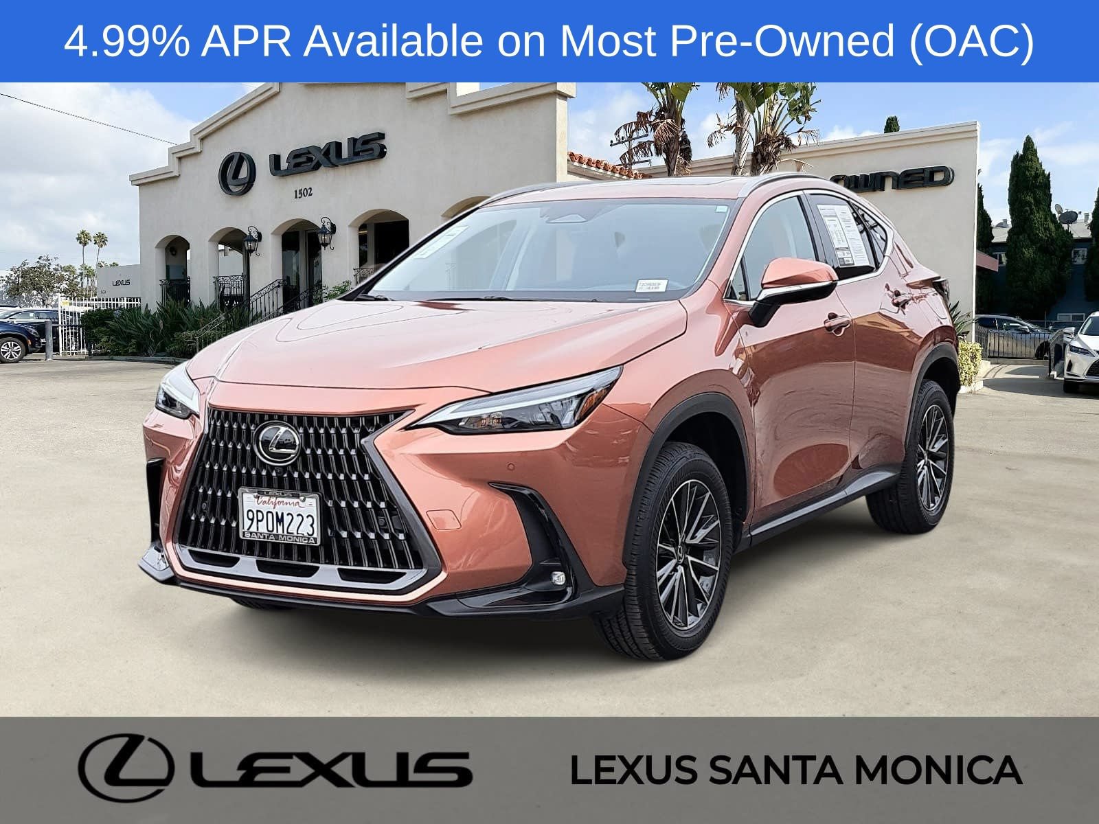 Used 2025 Lexus NX 350 AWD w/ Cold Area Package