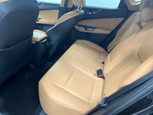 Used 2024 Lexus NX 250 AWD w/ Cold Area Package image 11