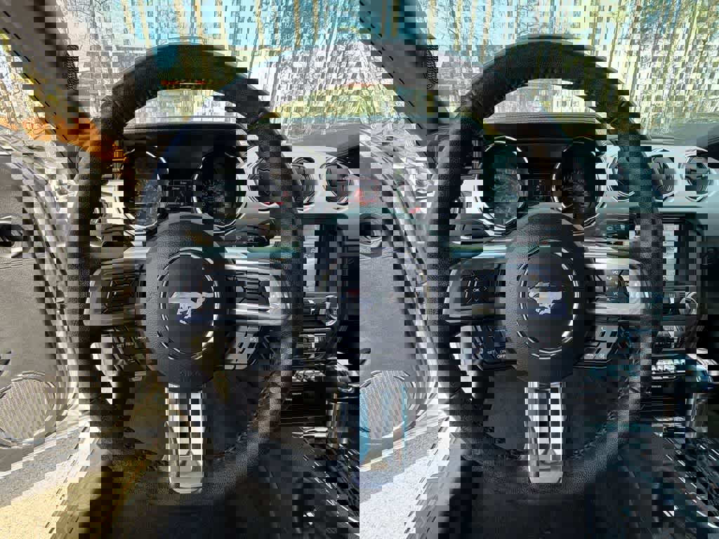 Used 2017 Ford Mustang Premium image 16