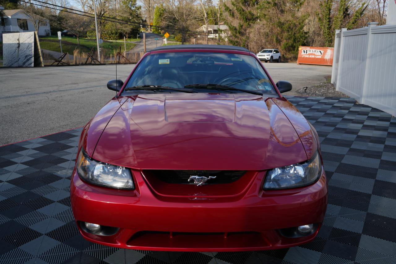 Used 2001 Ford Mustang Cobra image 89