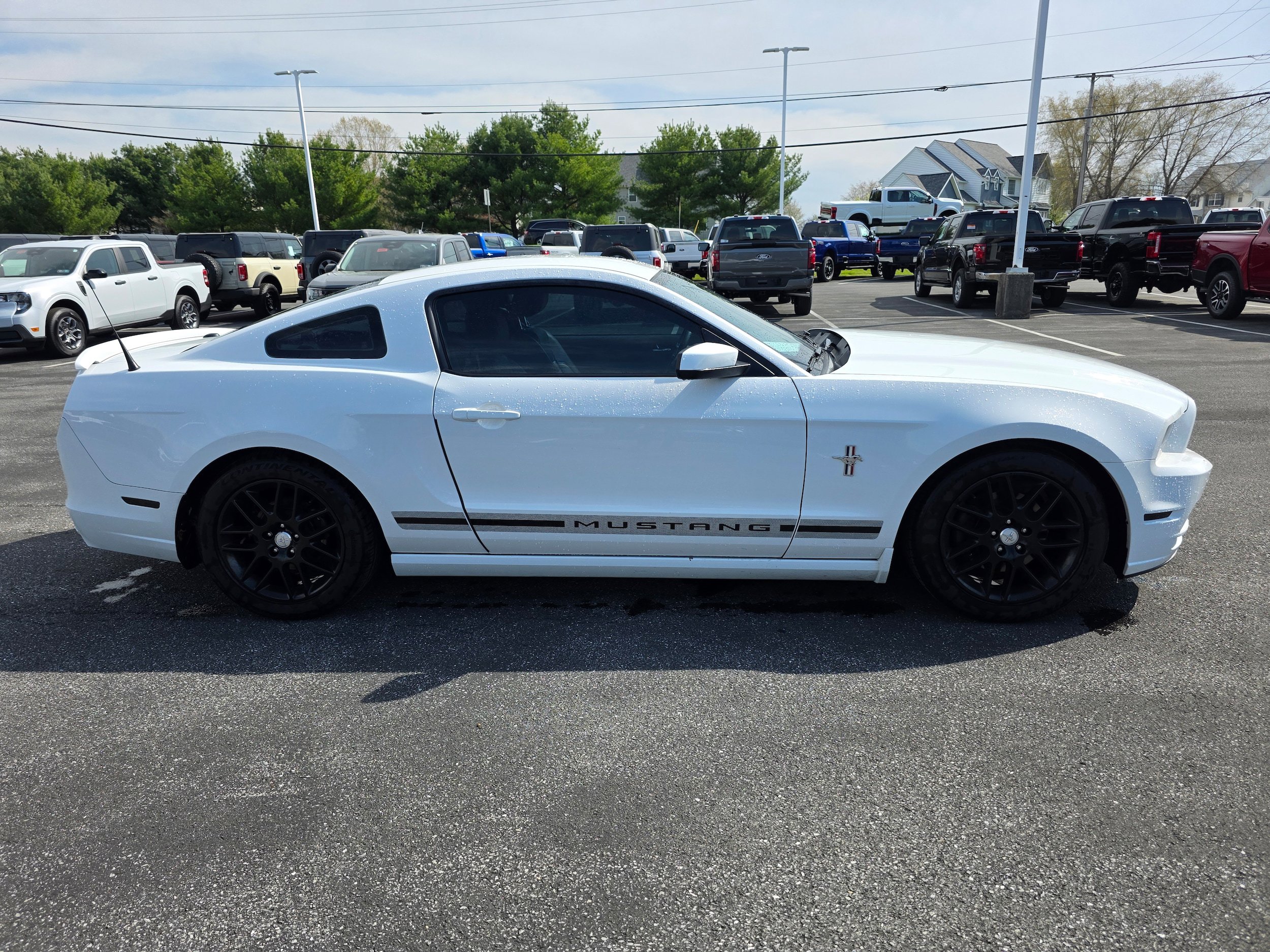 Used 2014 Ford Mustang Premium w/ Equipment Group 202A image 6