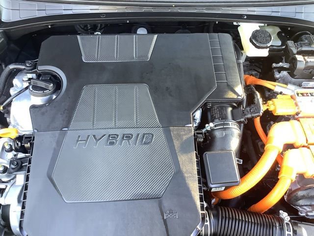 Certified 2025 Hyundai Elantra SEL image 14