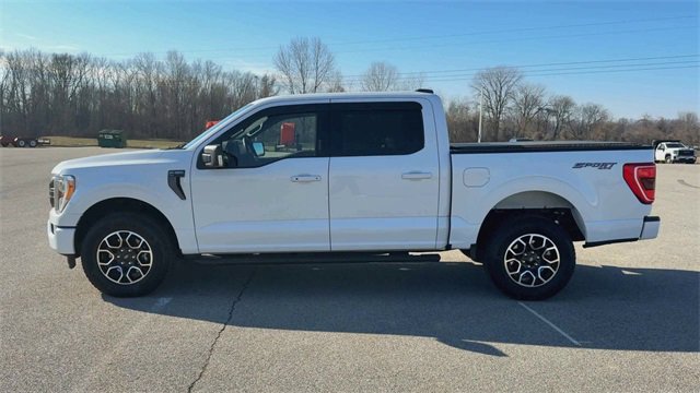 Used 2023 Ford F150 XLT w/ Equipment Group 302A High image 5