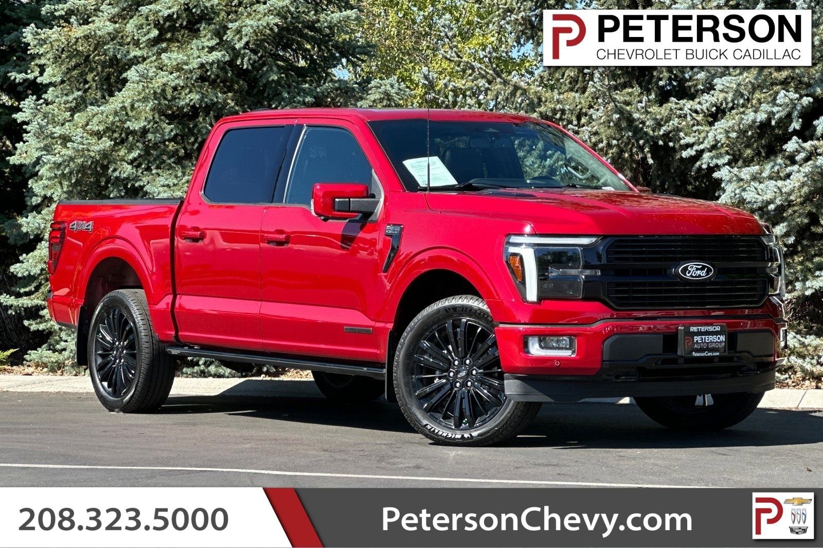 Used 2024 Ford F150 Platinum