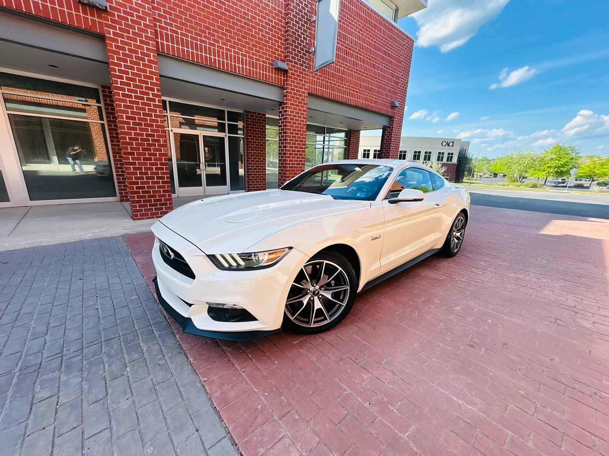Used 2015 Ford Mustang 50 Years RWD image 3