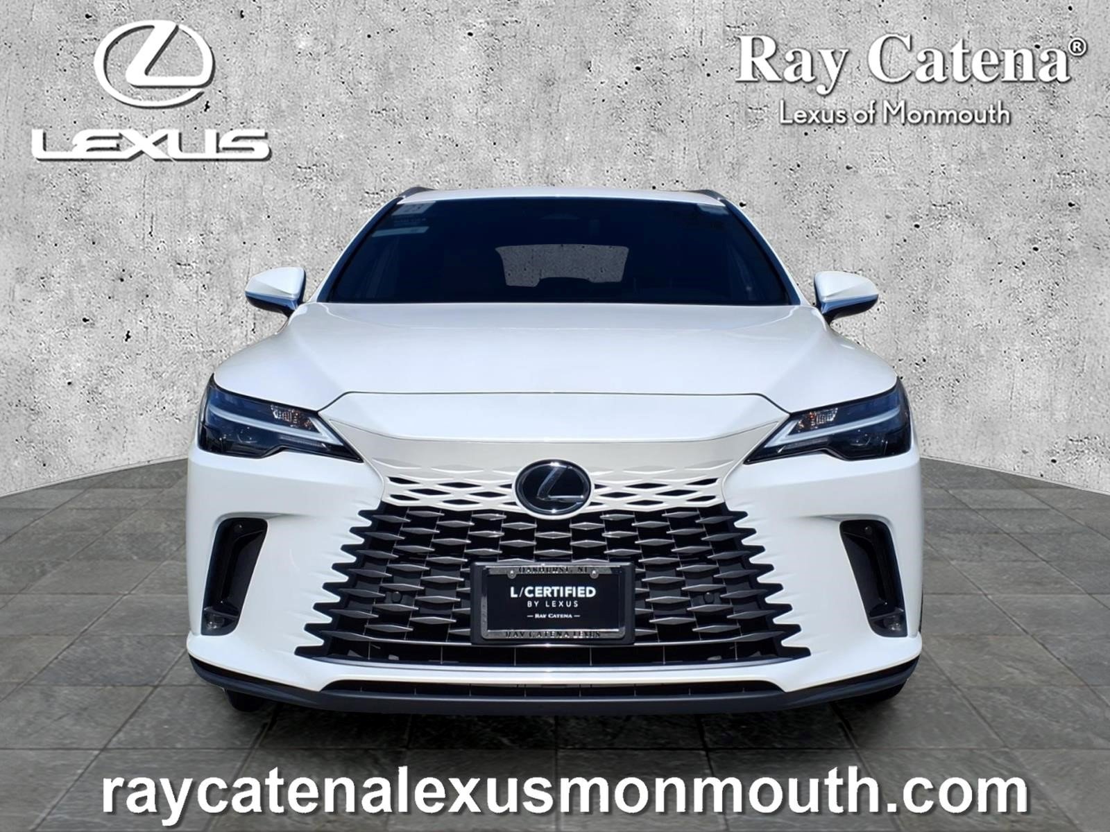 Used 2023 Lexus RX 350 Premium w/ Cold Area Package image 2