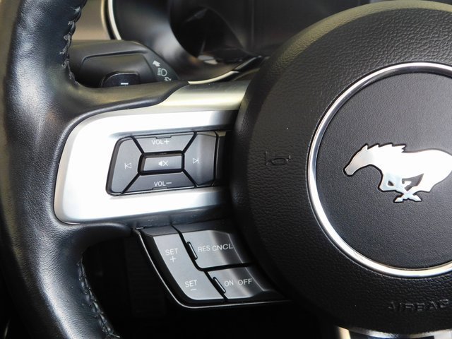 Used 2019 Ford Mustang GT Premium w/ Equipment Group 401A image 22