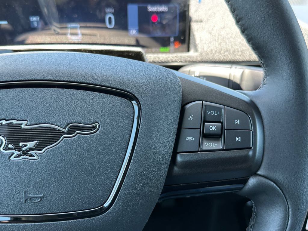 New 2026 Ford Mustang Mach-E Premium RWD image 24