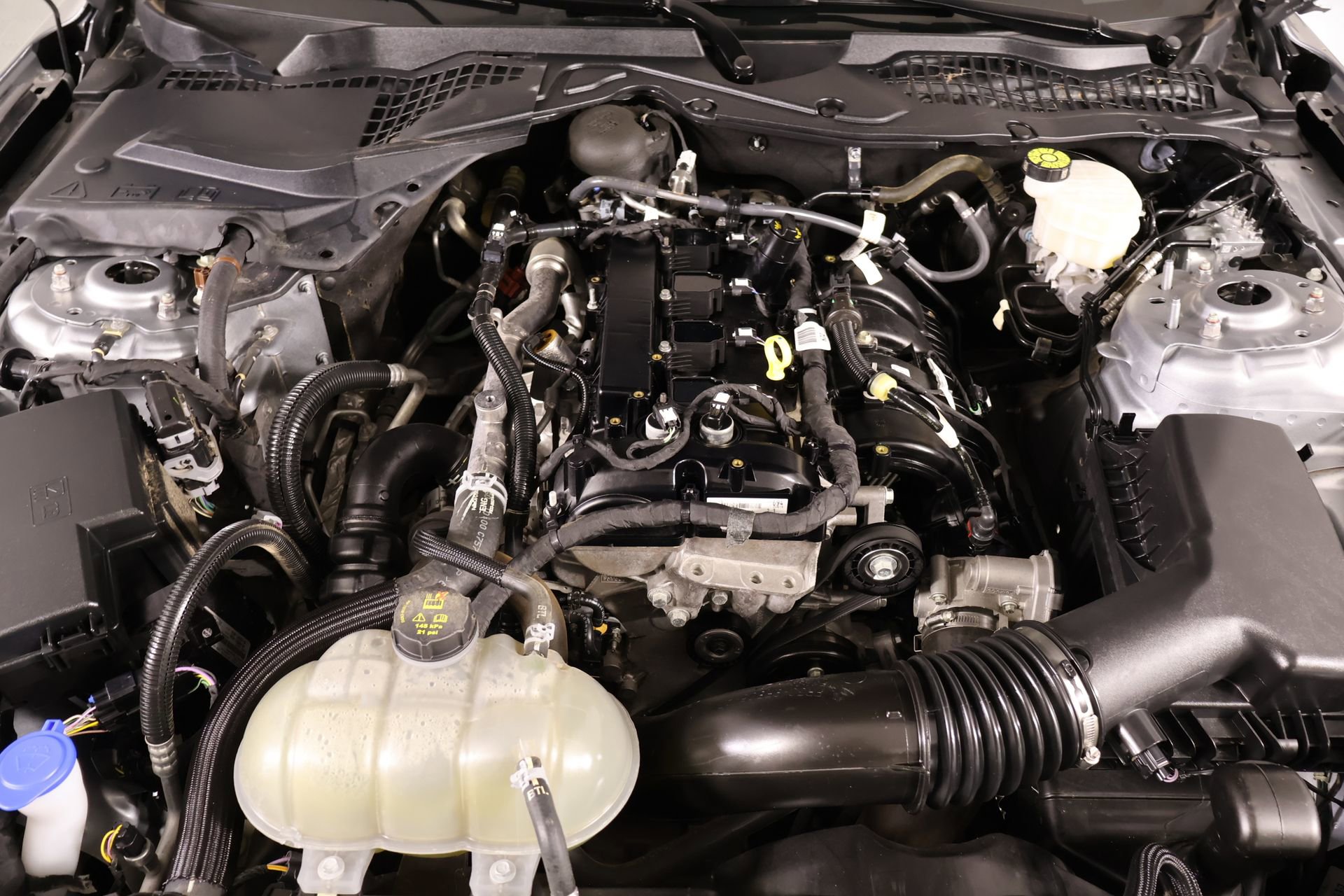 Used 2023 Ford Mustang Premium RWD image 18