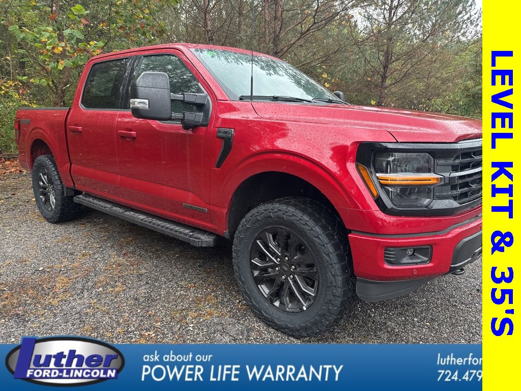 New 2025 Ford F150 XLT w/ Equipment Group 303A High