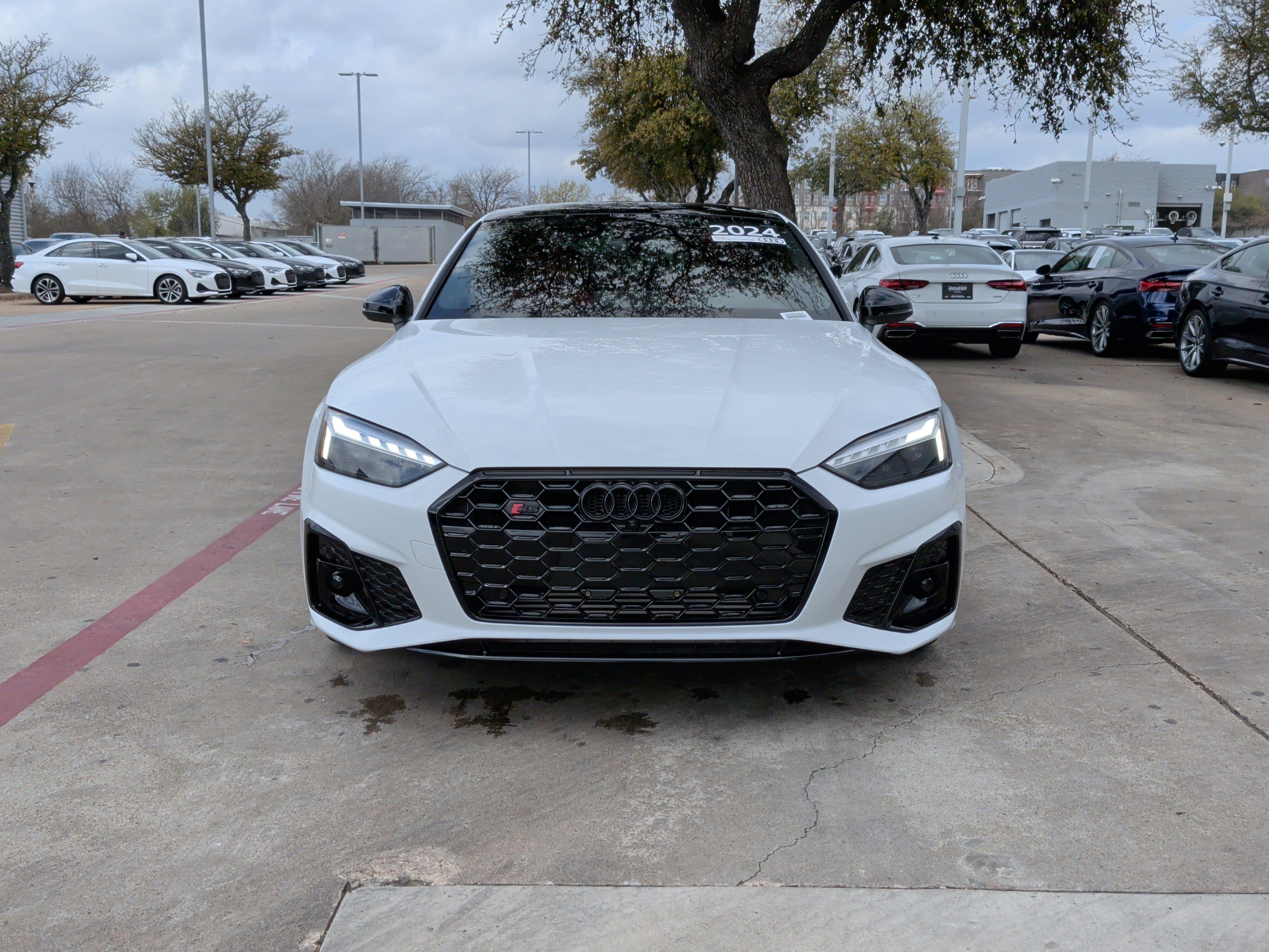 Certified 2024 Audi S5 Premium Plus image 3