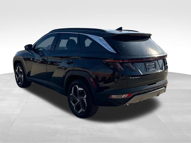 Used 2024 Hyundai Tucson Limited image 7