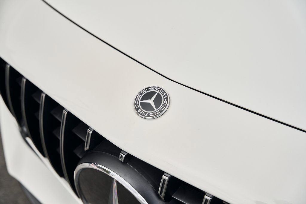 Used 2019 Mercedes-Benz AMG GT R image 7