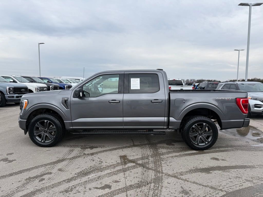 Used 2023 Ford F150 XLT w/ Equipment Group 302A High image 41
